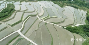 지리산 자락에 펼쳐진 다랑이