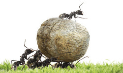 ‘스마트 개미’들 웃었다…매수 상위 종목 10개 평균 수익률 66.5%