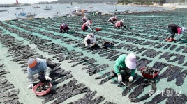 한국수산증.양식기술사협회한국해양수산과학기술연구소 | 수산양식산업에도 인공지능 기술 적용