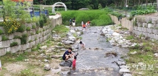 도심 개울가 물놀이