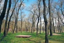물따라 길따라 구불구불… 아기자기한 계곡의 낭만