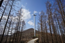 물따라 길따라 구불구불… 아기자기한 계곡의 낭만