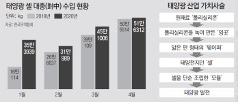 [단독]中 저가공세에 꺼져가는 태양광… 대기업마저 셀 사업 철수 검토