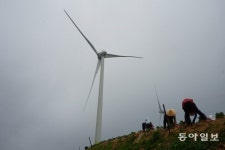 푹푹 찌는 여름…무더위 날려버릴 바람 맞기 좋은 강원도 명소