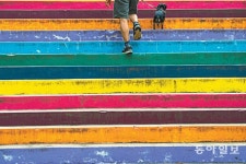 무지개 길[포토 에세이]