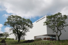 청정제주 자연에 유명 캐릭터 콜라보한 제주 스누피가든 [전승훈 기자의 디자인&콜라보]