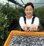 “코로나 불안한 도시여 안녕… 4년 준비한 귀농, 이참에 결단”