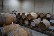 흔들다리에 가슴 출렁… 음악분수에 어깨 들썩