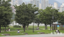 [속보]서울 여의도·뚝섬·반포한강공원 밀집지역 출입 못한다
