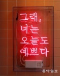 오늘도 예쁘다[고양이 눈]