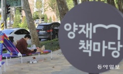 나무 그늘 아래 휴식과 힐링…“도서관보다 ‘책마당’”[원대연의 잡학사진]