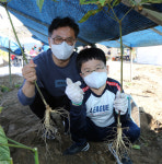 “강경젓갈-금산인삼 축제 올해는 집에서 즐기세요”