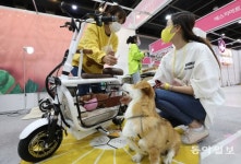 반려동물 유모차에 이어 소주, 맥주까지?…2020 코리아펫쇼 개막[청계천 옆 사진관]