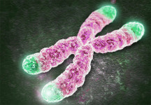 20년 젊어지는 치료제 나왔다?