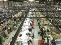 의류 유통과정 통합 플랫폼 구축… 의류 제조 글로벌 선도기업 도약