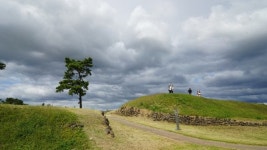 단풍 진다고 바람을 탓하랴… 풍경 한조각 품으면 될것을