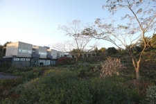 숲길 걷다 맛집 돌고 온천에 푹… 쉼터로 탐나는 제주