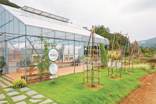 도심 속 텃밭… 도시농업문화 공간 ‘채화원’ 조성