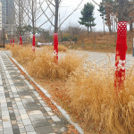 세종호수공원, 겨울맞이 예쁜 ‘나무 옷’ 착용