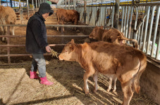 “수해 이긴 쌍둥이 송아지처럼 희망과 용기 가지세요”