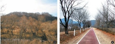 한중일 관광객들이 춘천 소머리산에 모여든 까닭은…