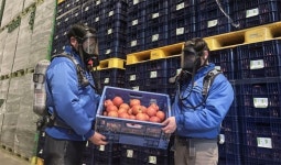 [프리미엄뷰]이마트만의 노하우로 ‘신선함’을 선물합니다