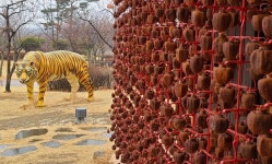 두 전래동화를 품은 상주 곶감[청계천 옆 사진관]