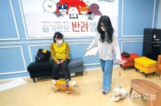 “우리동네 댕댕이, 나쁜 버릇 고쳐줍니다”