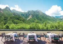 코끝엔 은은한 향기 눈앞엔 한라산 숲길 호텔에 봄이 피었네