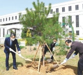 호남대 “본관 앞에 정이품송 후계목 5그루 심어”