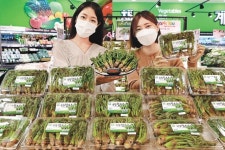 “제철 채소, 참두릅 어떠세요”