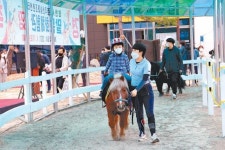 영천 말(馬)문화체험관 개장