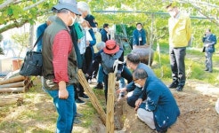 나주배, 국가중요농업유산 지정 ‘초읽기’