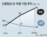 작년 신용등급 하락기업 66곳… 1년새 12곳 늘며 하방 압력 지속