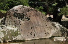 왕의 벼농사 ‘친경례’…풍년을 기원하며[청계천 옆 사진관]