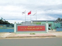 대표가 직접 발로 뛰어 미FDA 승인받아… 글로벌 시장 돌파구 마련