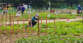 어르신들의 힐링공간 ‘실버농장’