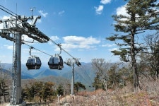 “가리왕산을 생태관광지로”… 곤돌라 운영 시험대 오른 정선군