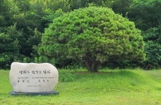 5cm 군사분계선 둔턱은 그대로… 남북미 판문점 회동 2주년 [청계천 옆 사진관]