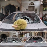 “내차 박살 낸 두리안 14만원에 팝니다” 농담 글에…장관이 전화