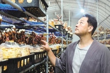 잘나가던 의사에서 한달 매출 2000만원 청년 농부로