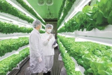 “스마트팜으로 이상기후에 대비”… 유통기업, 농작물 투자 확대