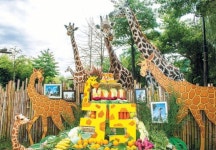 세계 최다산 기린 ‘장순이’ 35번째 생일