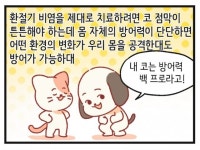 [신문과 놀자!/고독이의 토막상식] 환절기 비염 관리 방법