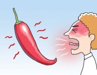 고추는 왜 매울까[서광원의 자연과 삶]〈44〉