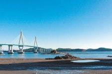 가슴 찡한 적송의 향기… 눈부신 노을은 네 붉은 상처 같구나