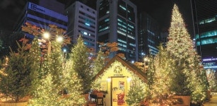 10월의 크리스마스, “벌써 트리가 반짝반짝”