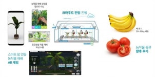 [농업이 IT(잇)다] 김희찬 제이디테크 “바나나 스마트팜으로 제주도 일자리, 고령화, 디지털 전환 해결"