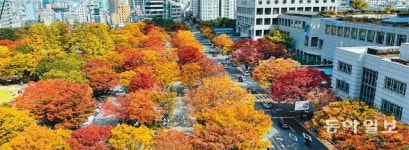 ‘울긋불긋’ 단풍으로 물든 부산시청 녹음광장