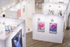 성한아이엔티스타필드코엑스 | [단신]스타필드 코엑스몰, ‘유럽 문학여행’ 도서전 등 개최